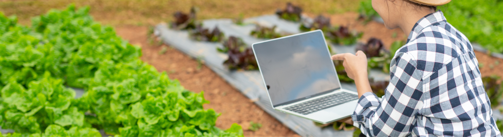 เศรษฐกิจ